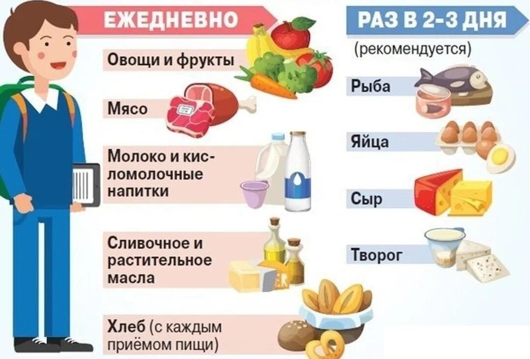 Основные правила здорового питания