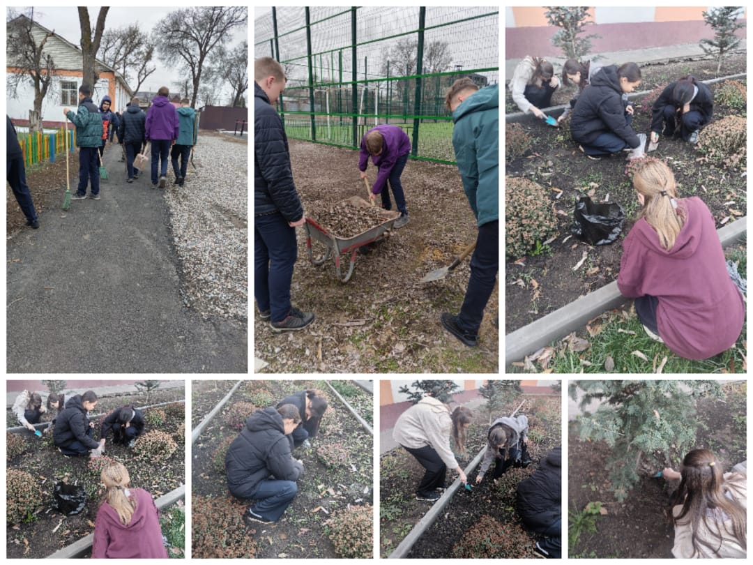 "Таза бейсенбі" акциясы